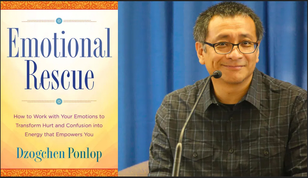 Dzogchen Ponlop Rinpoche, Emotional Rescue Book