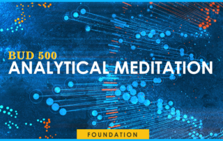 digital graphic image that has the words BUD500 Analytical Meditation. Foundation.