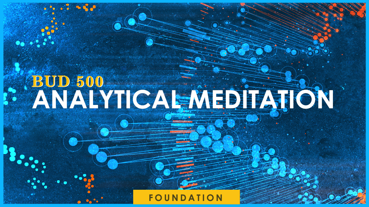 digital graphic image that has the words BUD500 Analytical Meditation. Foundation.