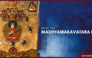 Madhyamakavatara IV.