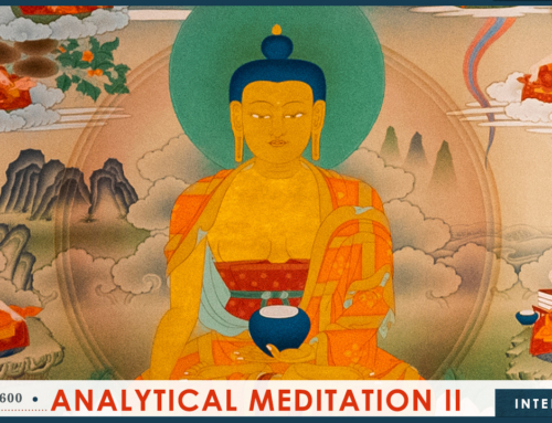 BUD 600 Analytical Meditation II
