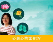 Mind & Its World IV in Chinese.